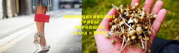 спиды Алексин