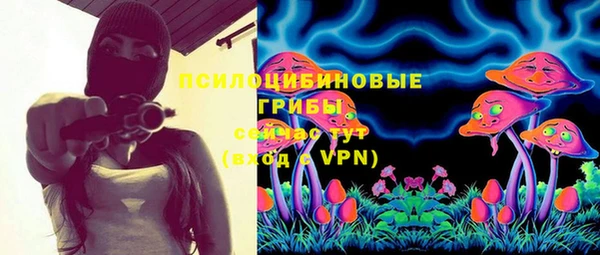 эйфоретик Алзамай