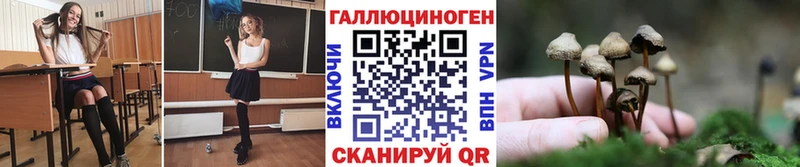 купить наркотики сайты  Таруса  Псилоцибиновые грибы MAGIC MUSHROOMS 